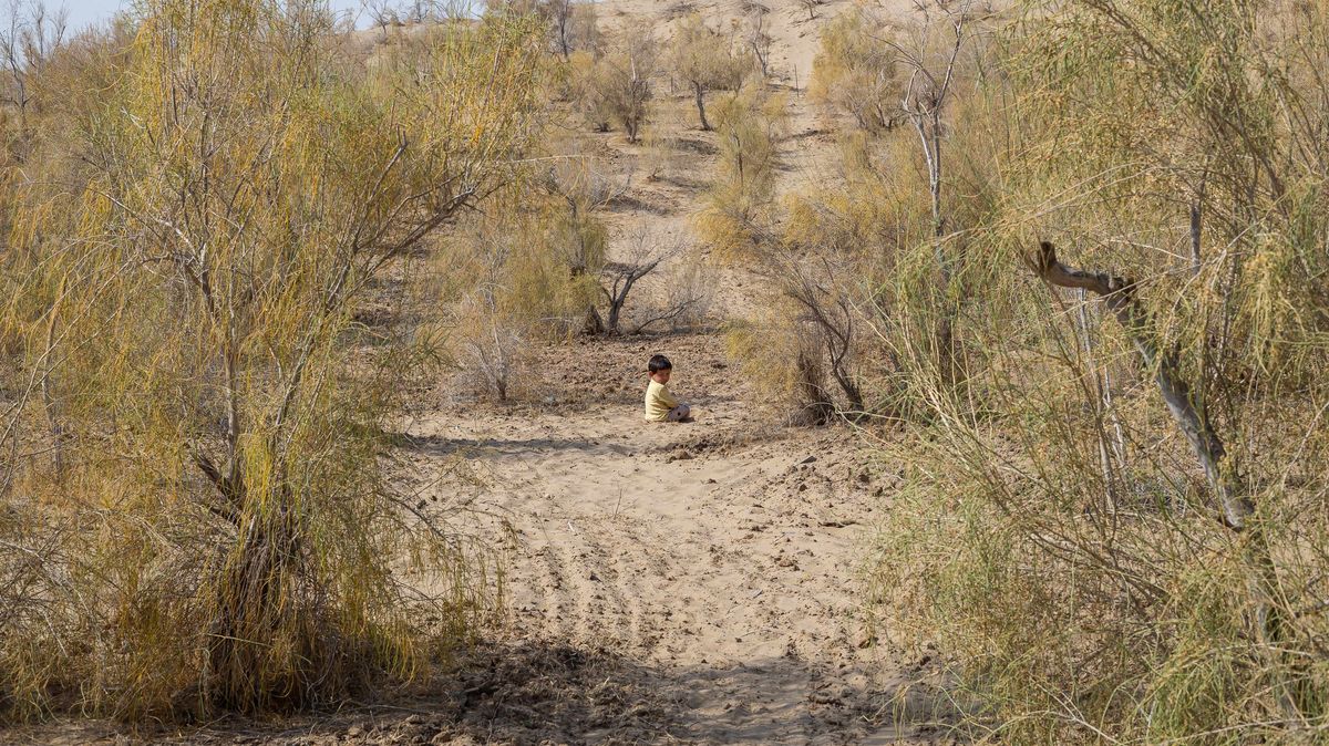 Fotky: Poušť jim bere obživu i domovy, snaží se ji zastavit zelenou bariérou